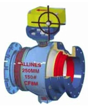 About ALLINES VALVES